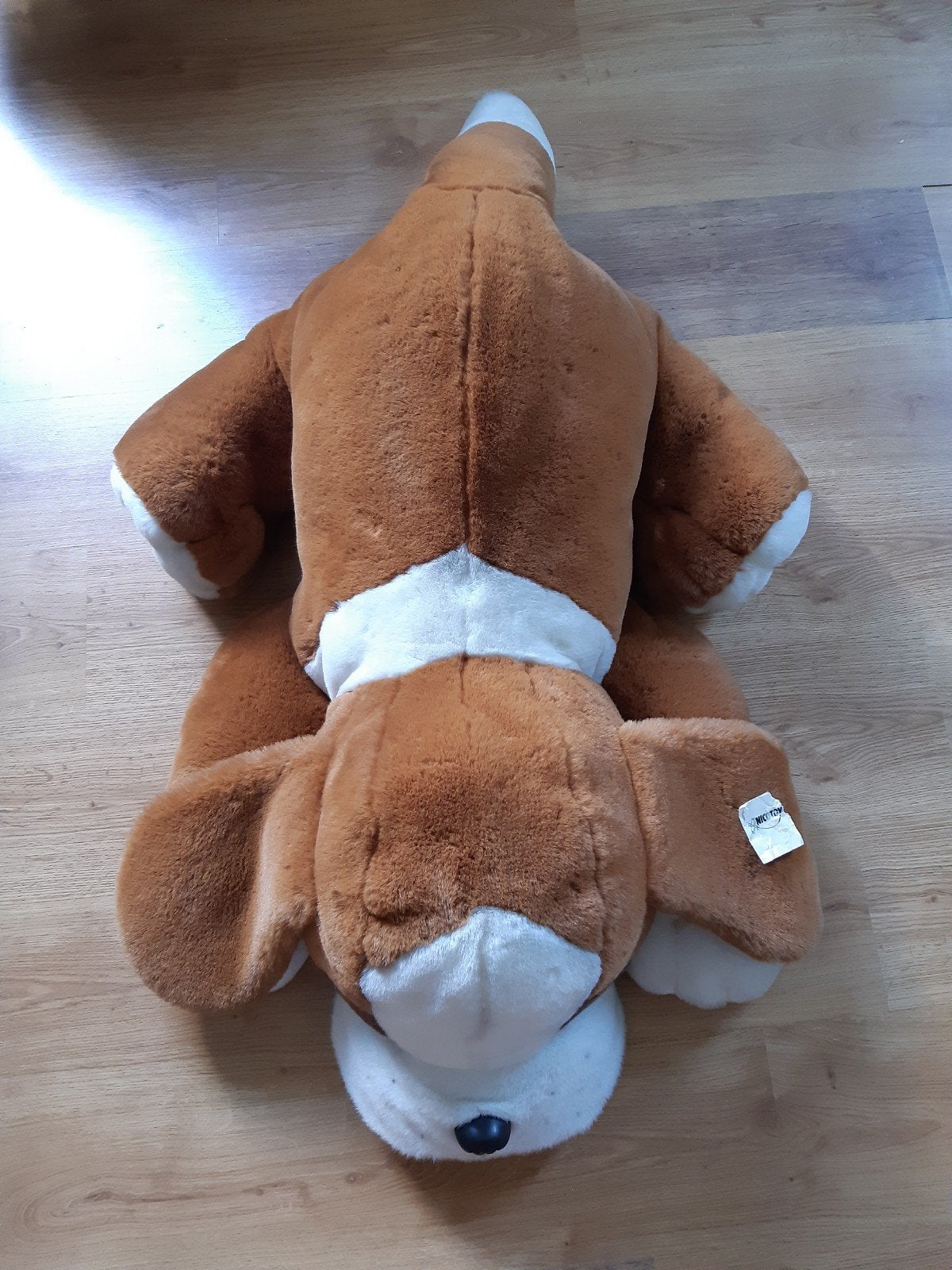 gigantische knuffelhond, Ophalen, Hond, Zo goed als nieuw, Meerkleurig