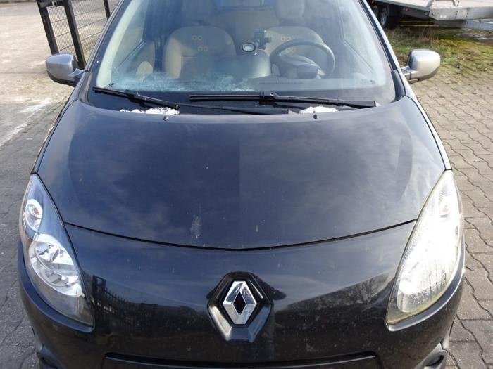 Capot d'un Renault Twingo (NV676), Renault, -, 3 mois de garantie, Utilisé