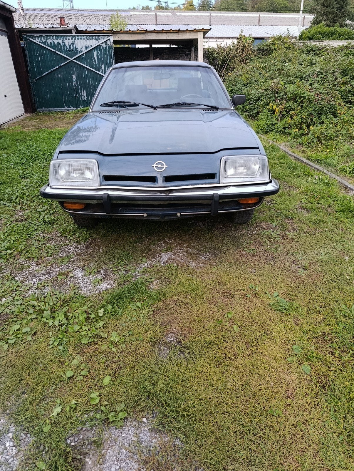 Opel, Autos, Achat, Autre, Opel, Particulier