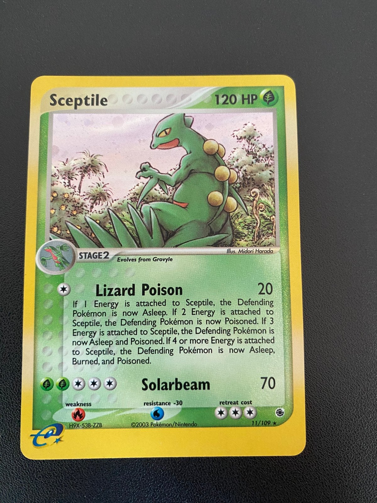 Sceptile ex ruby and sapphire, Enlèvement ou Envoi, Comme neuf