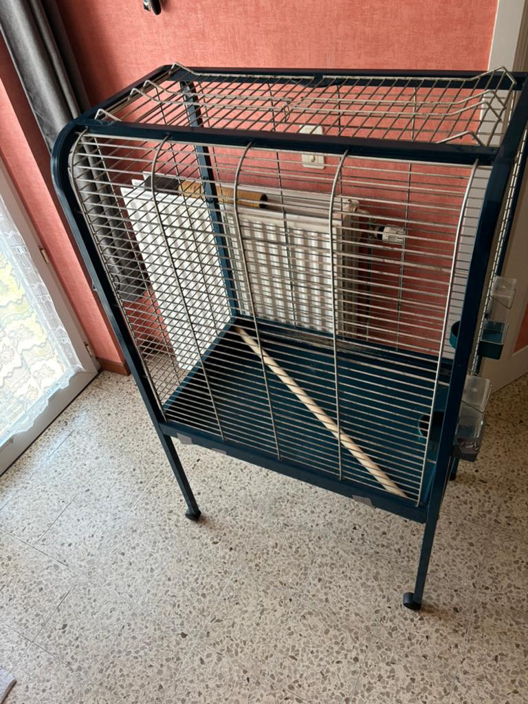 Cage perroquet, Enlèvement, Utilisé, 75 à 110 cm, 90 cm ou plus
