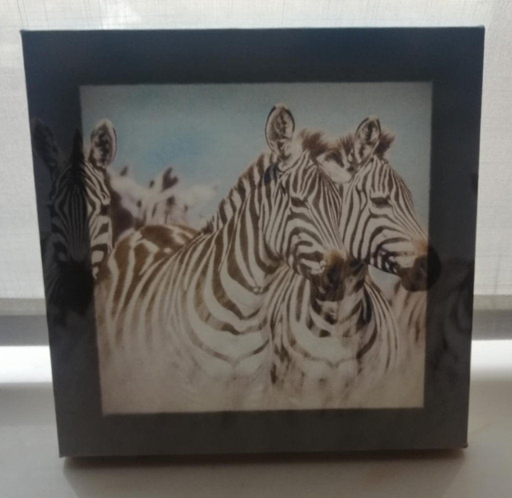 canvas zebra's, Huis en Inrichting, Ophalen