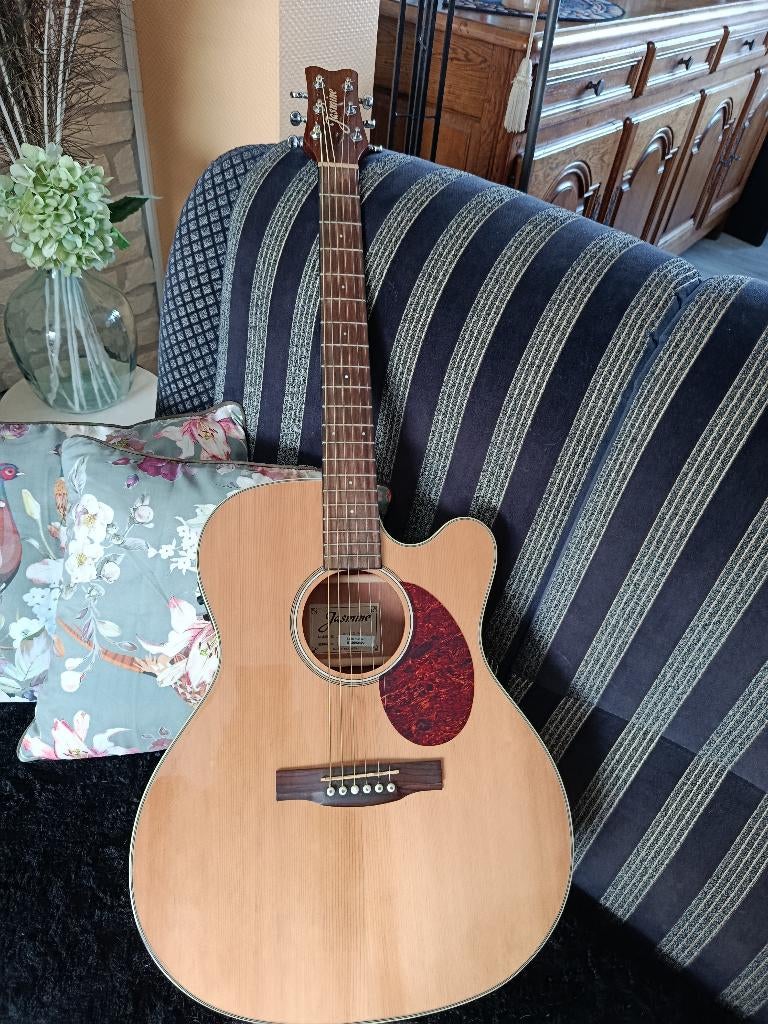 Electro-acoustische gitaar Jasmine (reeks uit de Takamine), Musique & Instruments, Instruments à corde | Guitares | Acoustiques