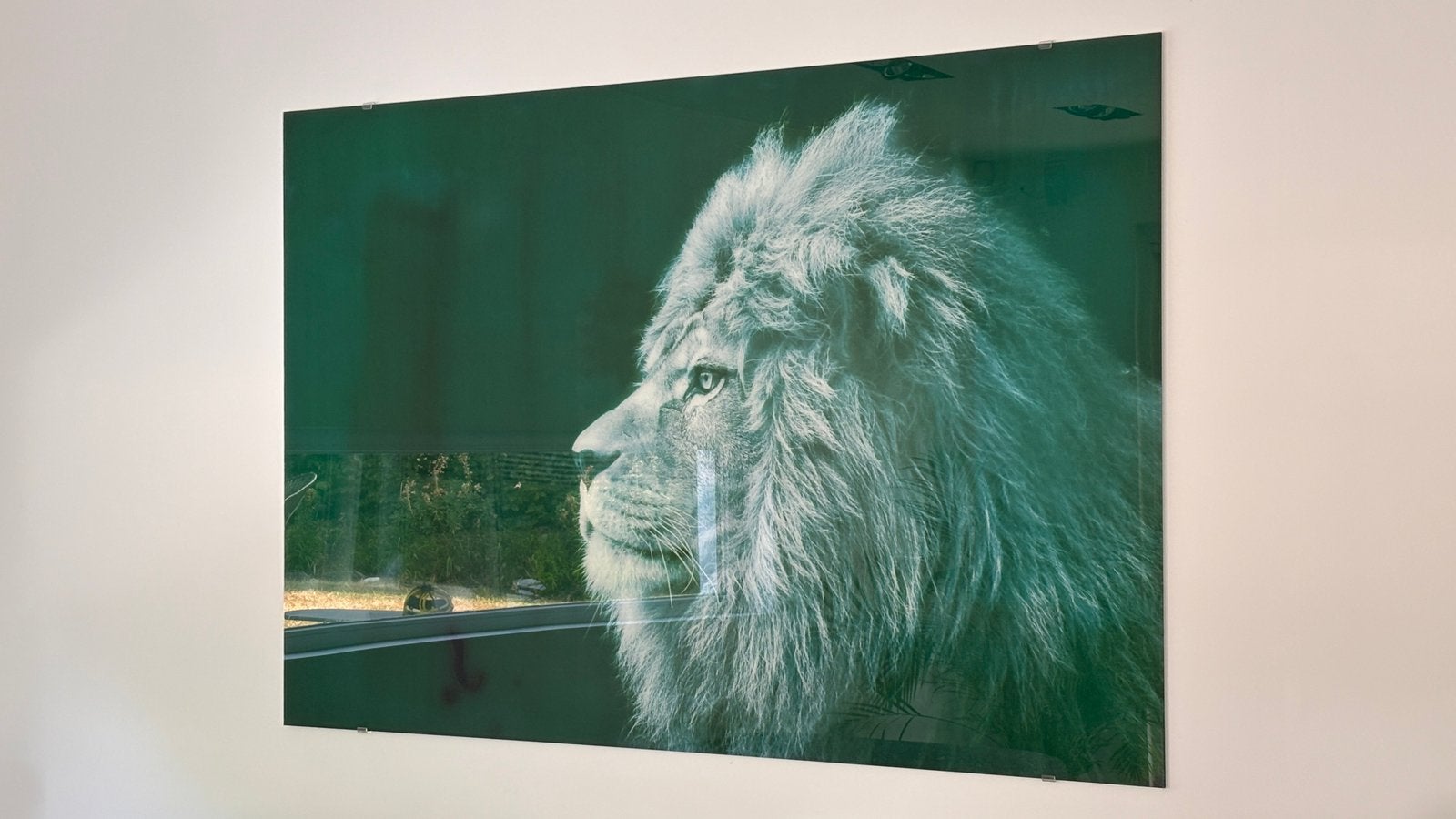 A VENDRE TABLEAU LION 🦁 180cmx120cm, Antiquités & Art, Art | Peinture | Abstraite, Enlèvement