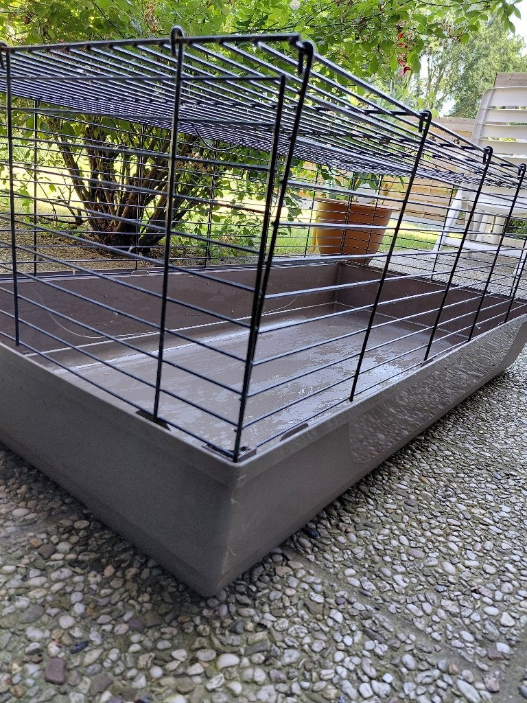 Hok voor cavia, Dieren en Toebehoren, Hok, Cavia, Ophalen, Minder dan 60 cm