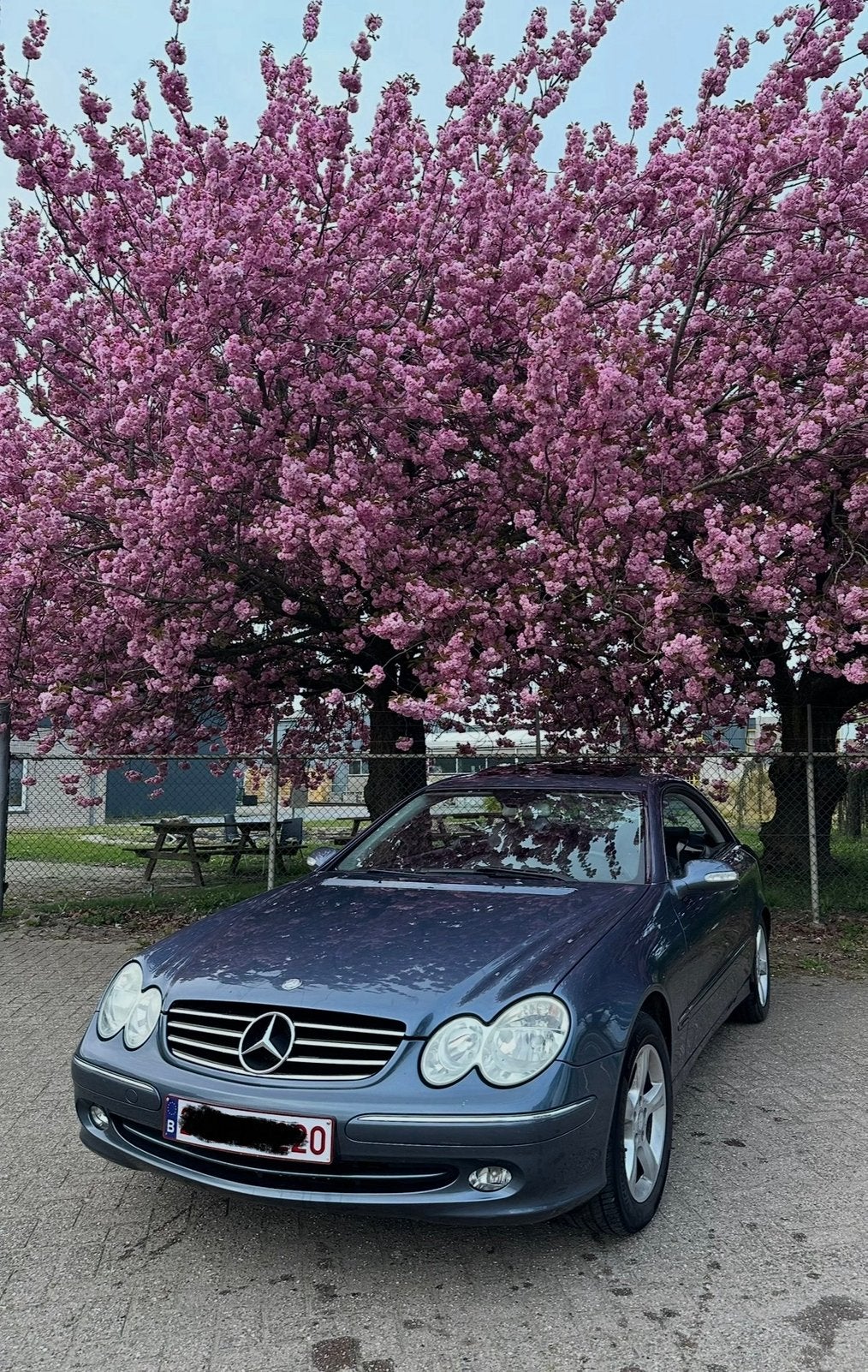 Mercedes Clk 200 2005 komp GPL Option complète Avantgarde, Cuir, Achat, Entreprise, Feux de virage