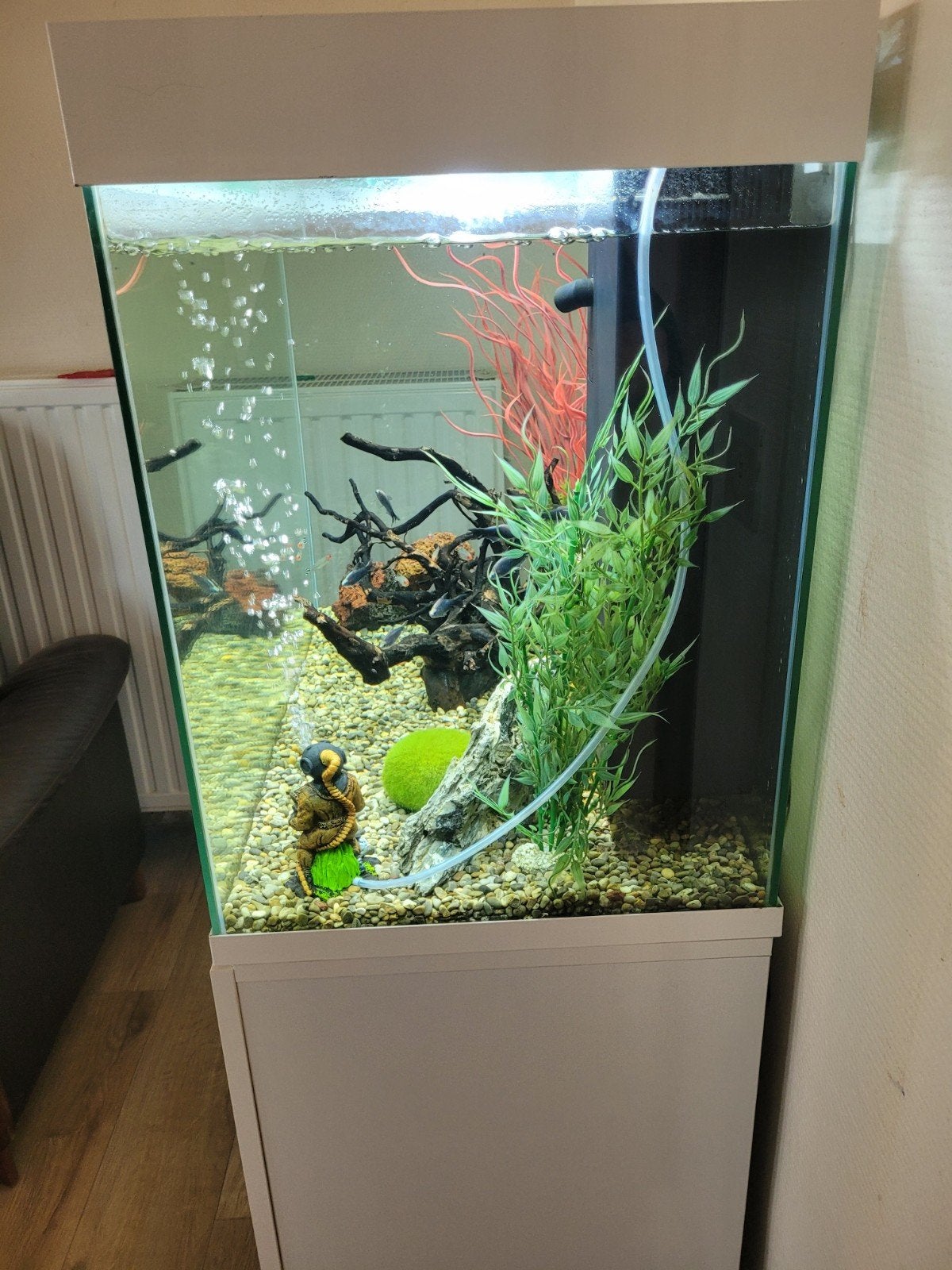 aquarium met kast, Ophalen, Inclusief planten, Zo goed als nieuw