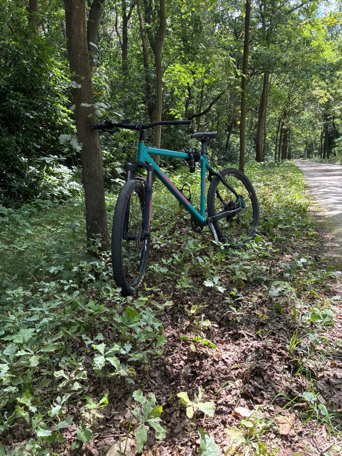 Moutinbike, Fietsen en Brommers, Ophalen, Gebruikt, Overige merken