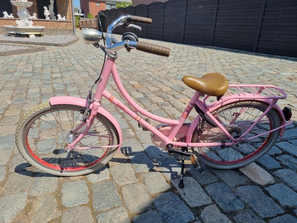 fiets 20 inch, Ophalen, 16 tot 20 inch, Alpina, Zo goed als nieuw