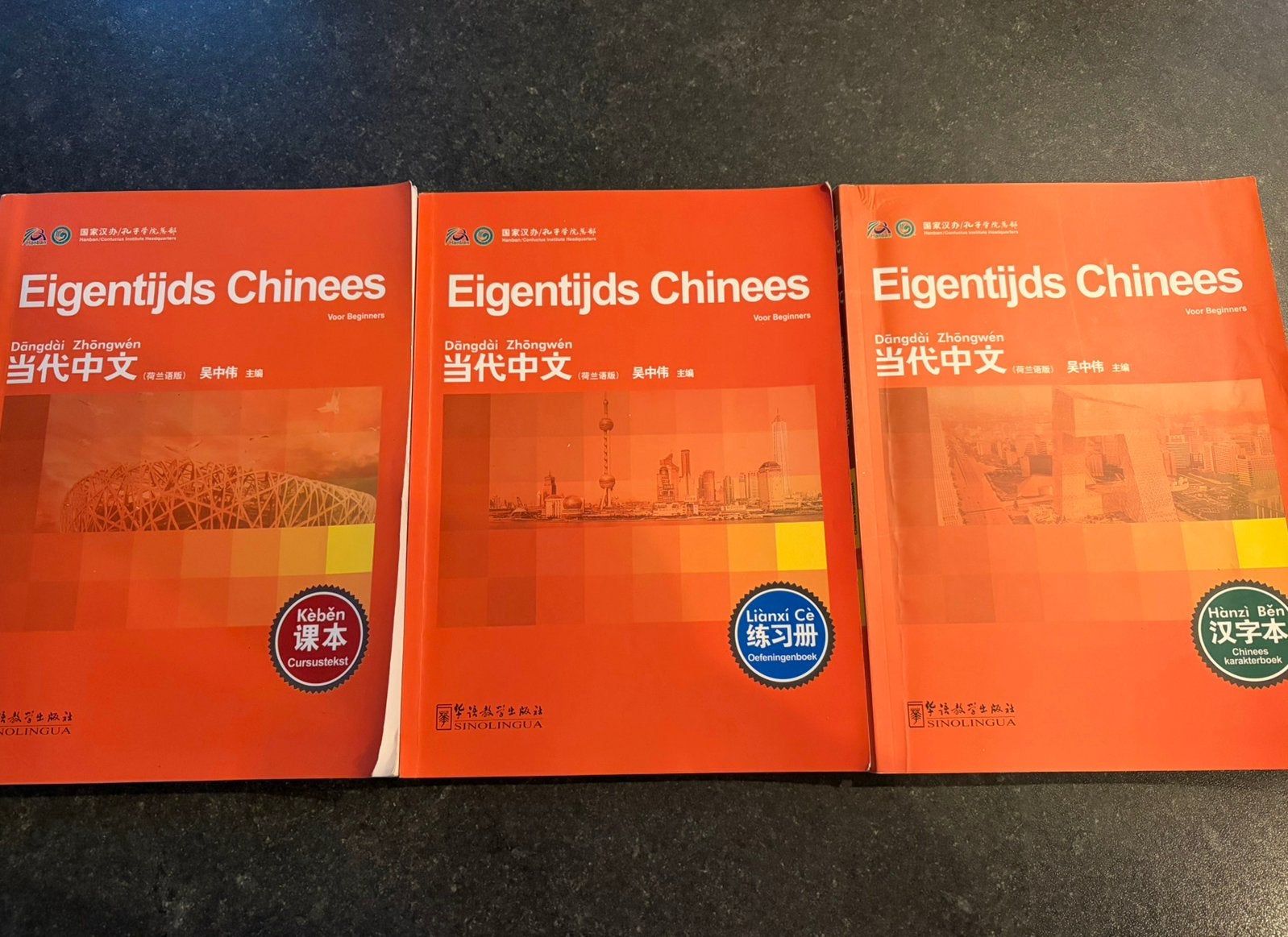 Chinees leren, Hobby en Vrije tijd, Ophalen of Verzenden, Zo goed als nieuw