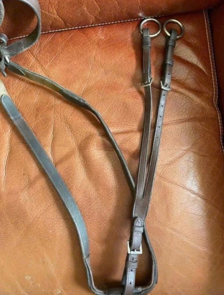 Collier de chasse et martingale Dy’on taille cheval brun, Animaux & Accessoires, Enlèvement ou Envoi, Utilisé