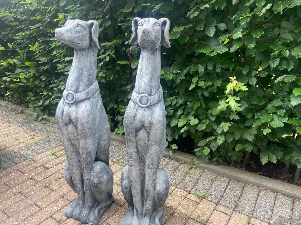 Set Whippets , Windhonden , Greyhounden, Tuin en Terras, Tuinbeelden, Ophalen, Nieuw, Beton, Dierenbeeld