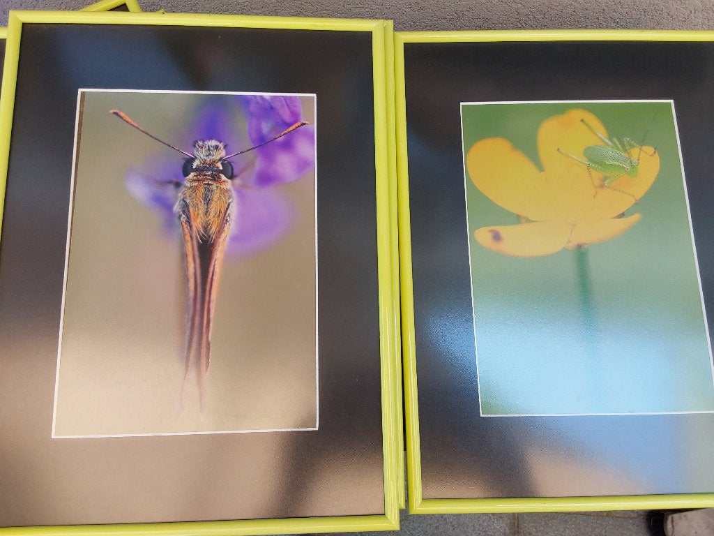 Zes fotokaders groen, Ophalen of Verzenden, Zo goed als nieuw