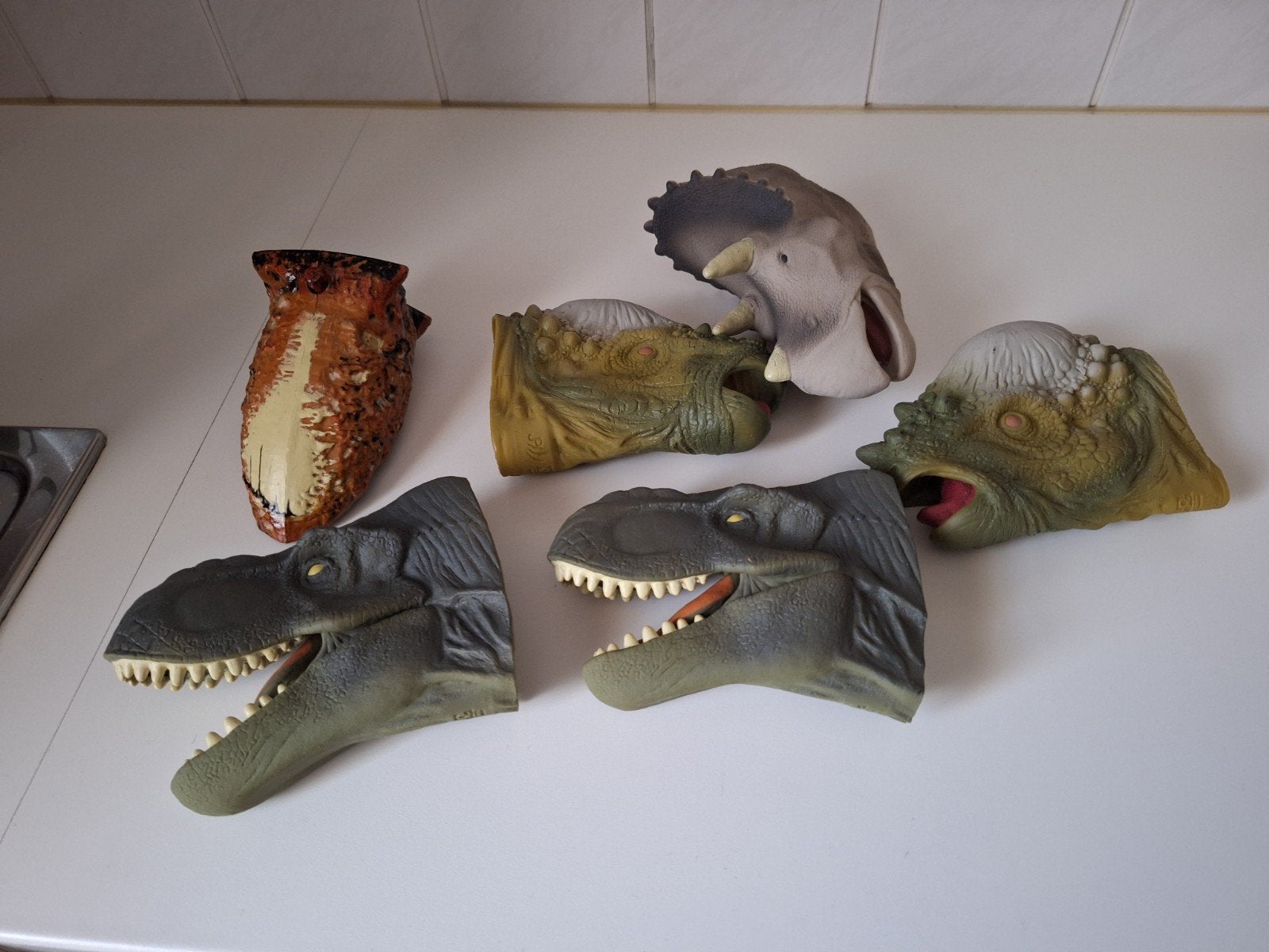 Dino koppen, Animaux & Accessoires, Oiseaux | Oiseaux Autre