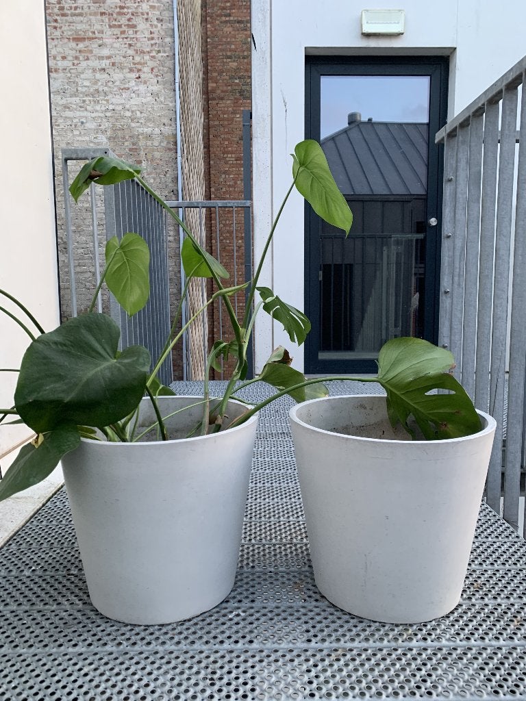 Set van 2 Ecopots Amsterdam, Enlèvement, Utilisé, Intérieur
