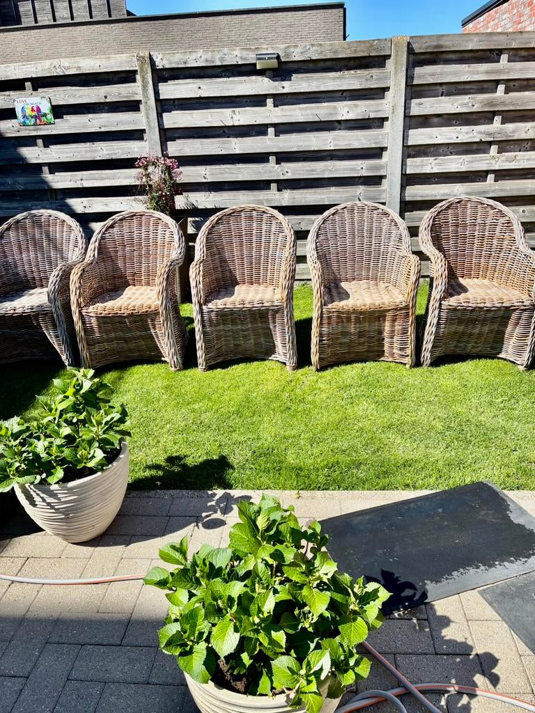5 rotan tuinzetels in super staat tuntafel is apart te koop, Jardin & Terrasse, Chaises de jardin, Comme neuf, Rotin, Enlèvement