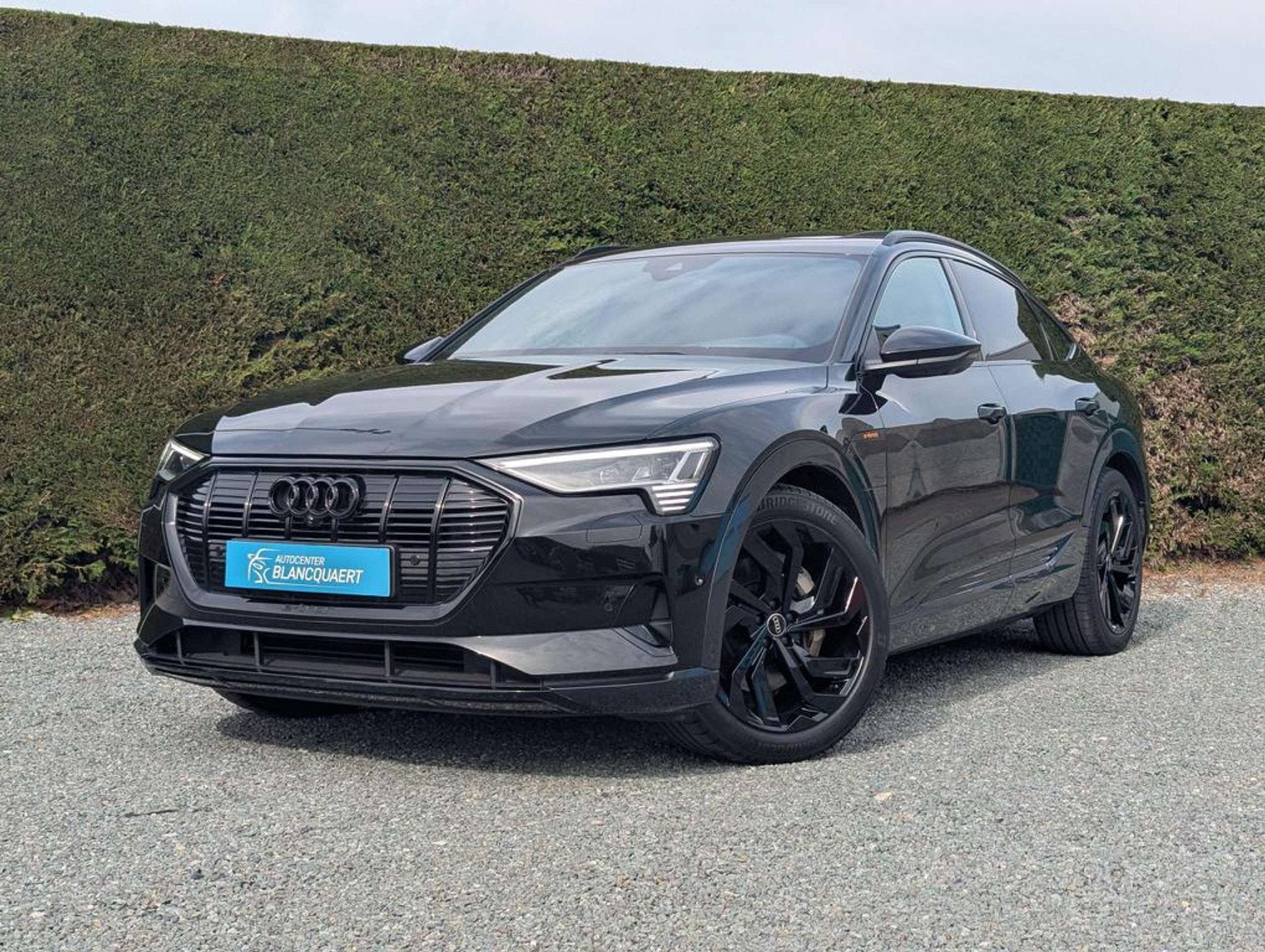 Audi Q8 e-tron (Q8)e-tron opendak - trekhaak - nachtcamera -, Autos, Audi, Achat, 408 ch, Entreprise, 5 portes