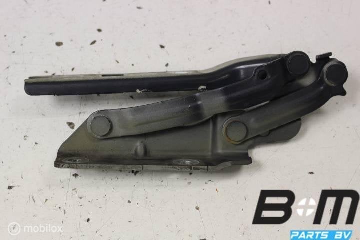 Motorkapscharnier links VW Golf 6R 5K0823301C, Gebruikt