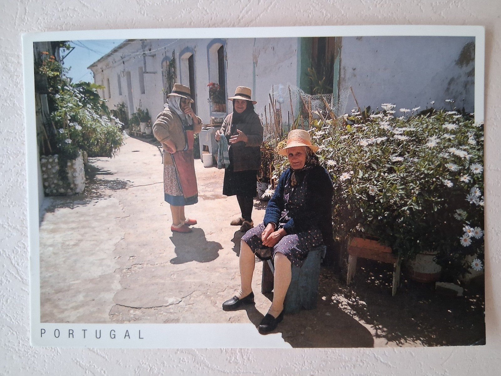 postkaart Portugal, Collections, Enlèvement ou Envoi