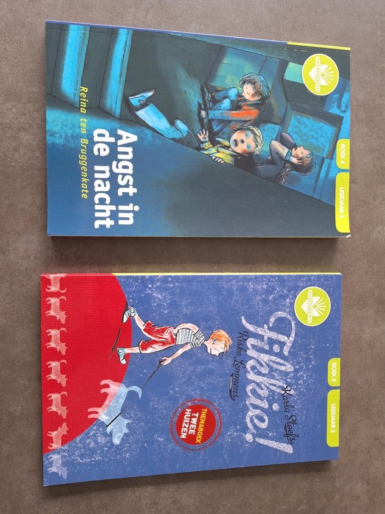 Boektoppers bingel leerjaar 3, Boeken, Kinderboeken | Jeugd | onder 10 jaar, Ophalen of Verzenden
