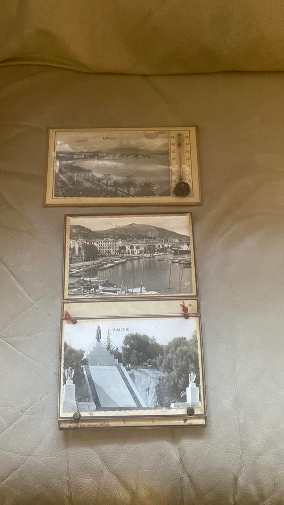 Lot de 3 cadres glacoides  thermomètre  Corse