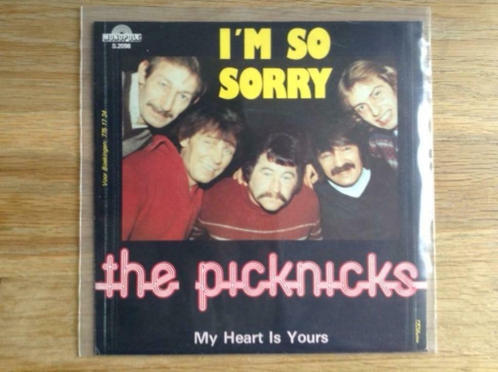 single the picknicks, Cd's en Dvd's, Ophalen of Verzenden, 7 inch, Rock en Metal, Single