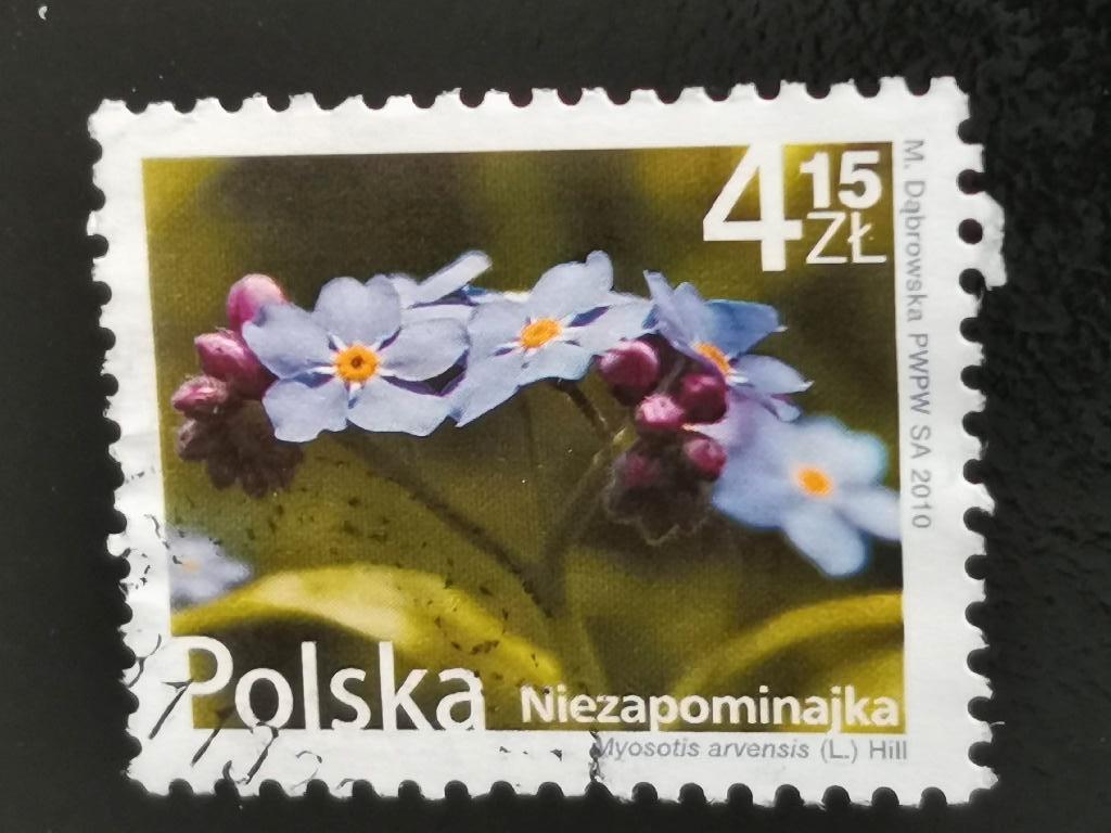 Pologne 2010 - fleurs - myosotis, Enlèvement ou Envoi, Pologne, Affranchi