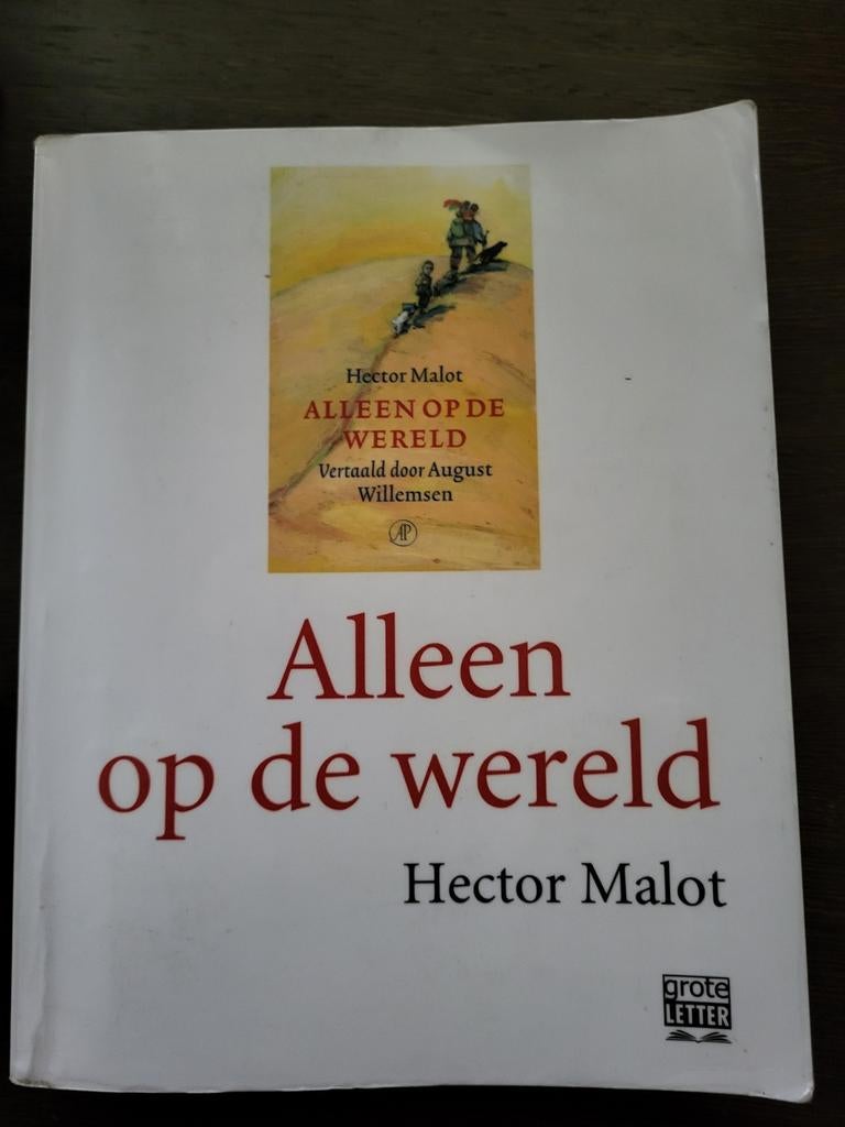 Alleen op de wereld grote letters Hector Malot, Boeken, Ophalen of Verzenden, Zo goed als nieuw