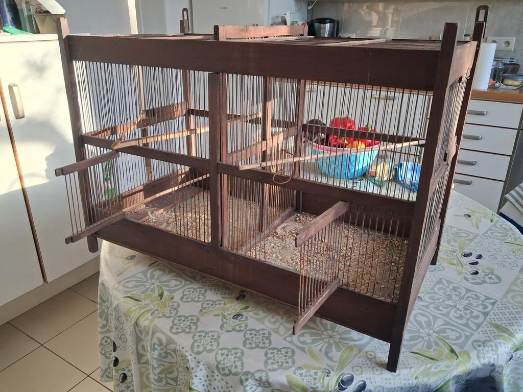 Antieke vogelkooi, Enlèvement, Cage à oiseaux