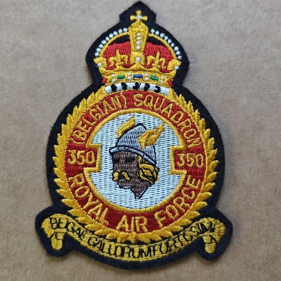 350 PIEDS CARRÉS F-16, Collections, Enlèvement ou Envoi, Armée de l'air, Emblème ou Badge