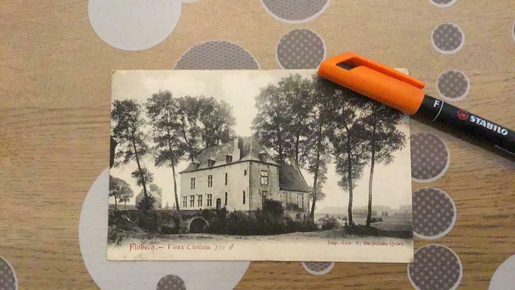 Flobecq vieux Château, Avant 1920, Non affranchie, Hainaut