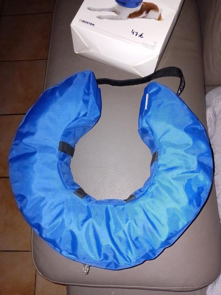 Bouée pour empêcher le chien de se gratter pour chien moyen, Enlèvement, Comme neuf