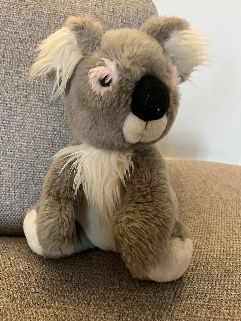 Knuffel/pluche koala, Ophalen of Verzenden, Zo goed als nieuw