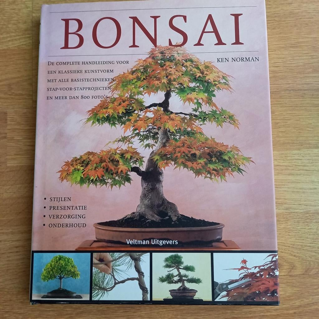 BONSAI > KEN NORMAN, Ophalen of Verzenden