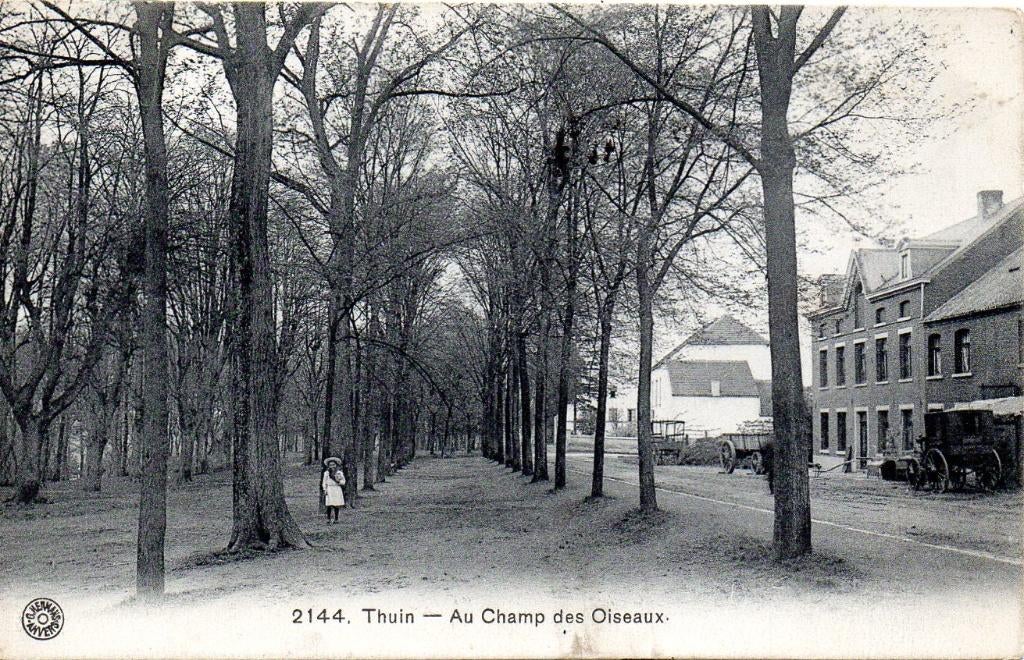 carte postale Thuin Au Champ des Oiseaux 1911, Enlèvement ou Envoi