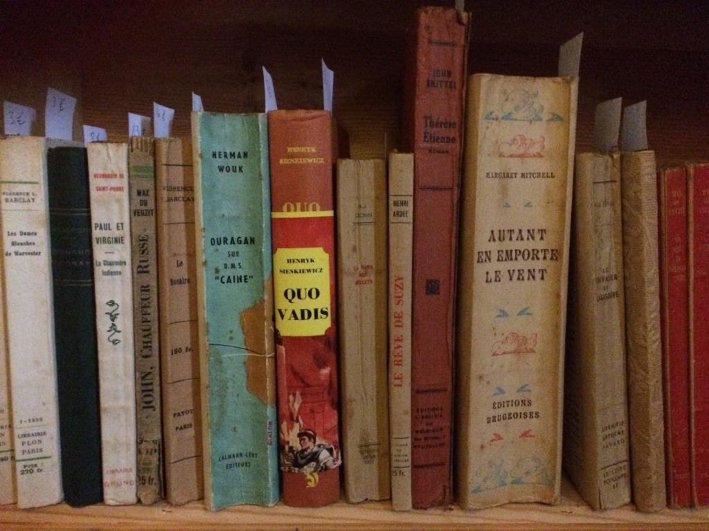 Mise à jour ! Liste de livres français, Ophalen of Verzenden, Gelezen
