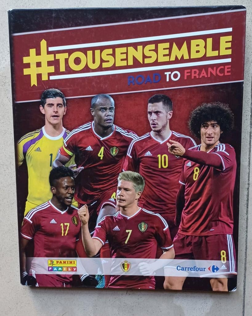 Panini album #Tousensemble 2015 & 2016, Ophalen of Verzenden, Gebruikt, Meerdere plaatjes