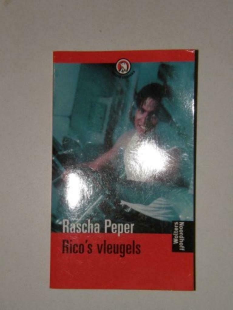 Boek, Rico's vleugels, Ophalen of Verzenden, Gelezen, Nederland