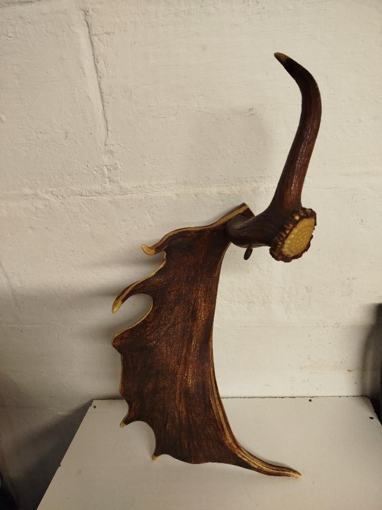 Damherten gewei (Dama Dama ), Ophalen