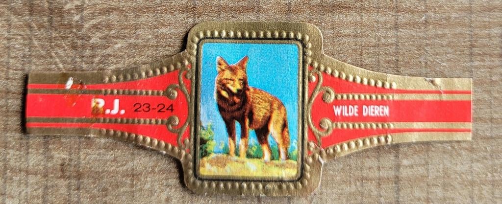 Oud sigarenbandje: reeks wilde dieren, Verzamelen, Ophalen of Verzenden, Gebruikt, Sigarenbandjes