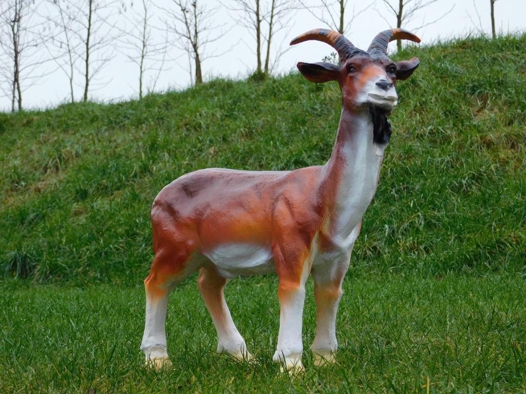 Beeld Geit met Sik - 60 cm - Polystone, Tuin en Terras, Tuinbeelden, Dierenbeeld, Kunststof, Ophalen of Verzenden