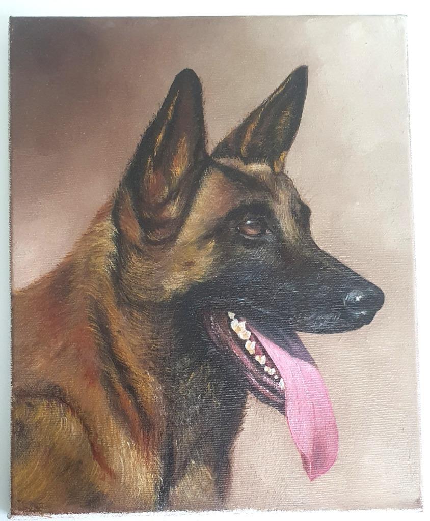 Schilderij hond Duitse herder Duitse scheper GERMAN SHEPPARD, Antiek en Kunst, Ophalen of Verzenden