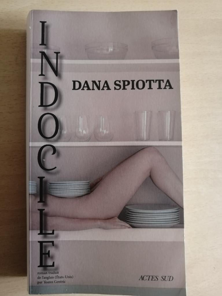 Indocile de Dana Spiotta, Enlèvement ou Envoi