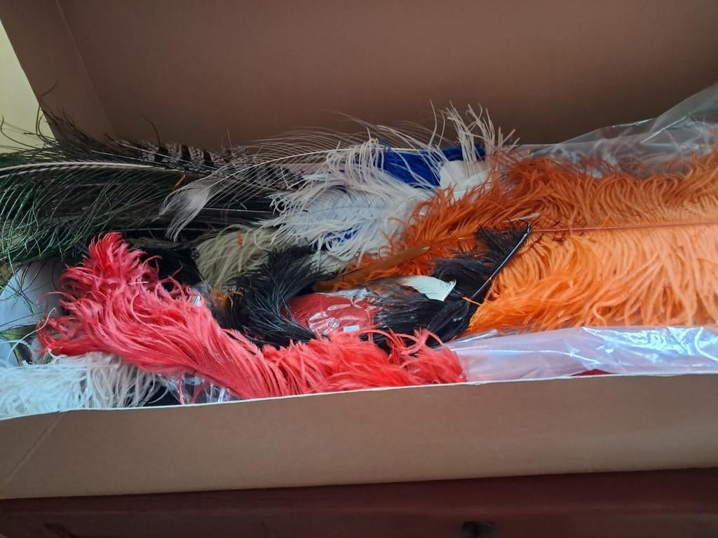 Plumes d'autruche, de paon 1€ pièce, Enlèvement ou Envoi, Comme neuf