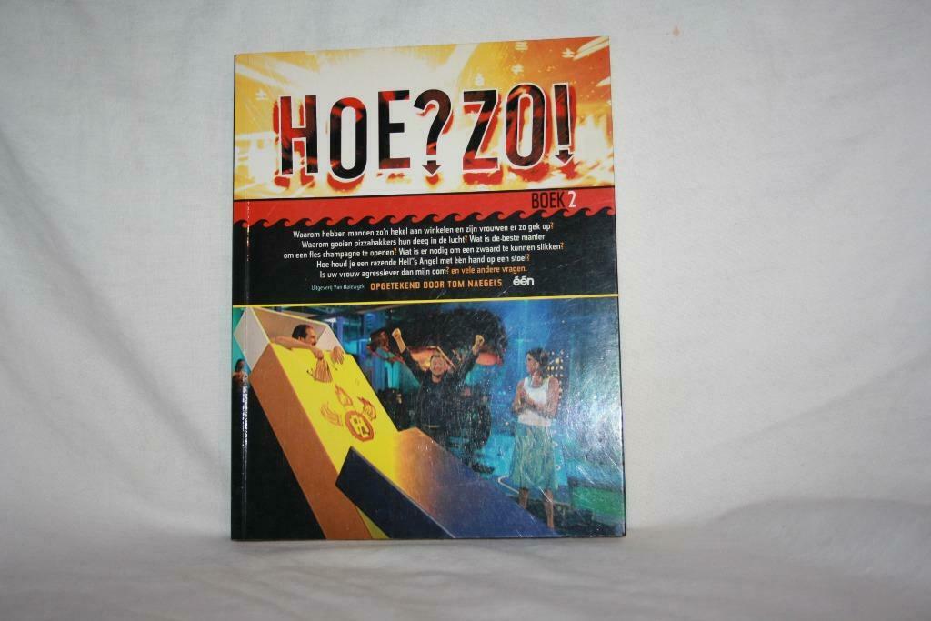 Perfecte staat / Hoe ? Zo !  Boek 2 – Tom Naegels, Ophalen of Verzenden, Zo goed als nieuw, Tom Naegels