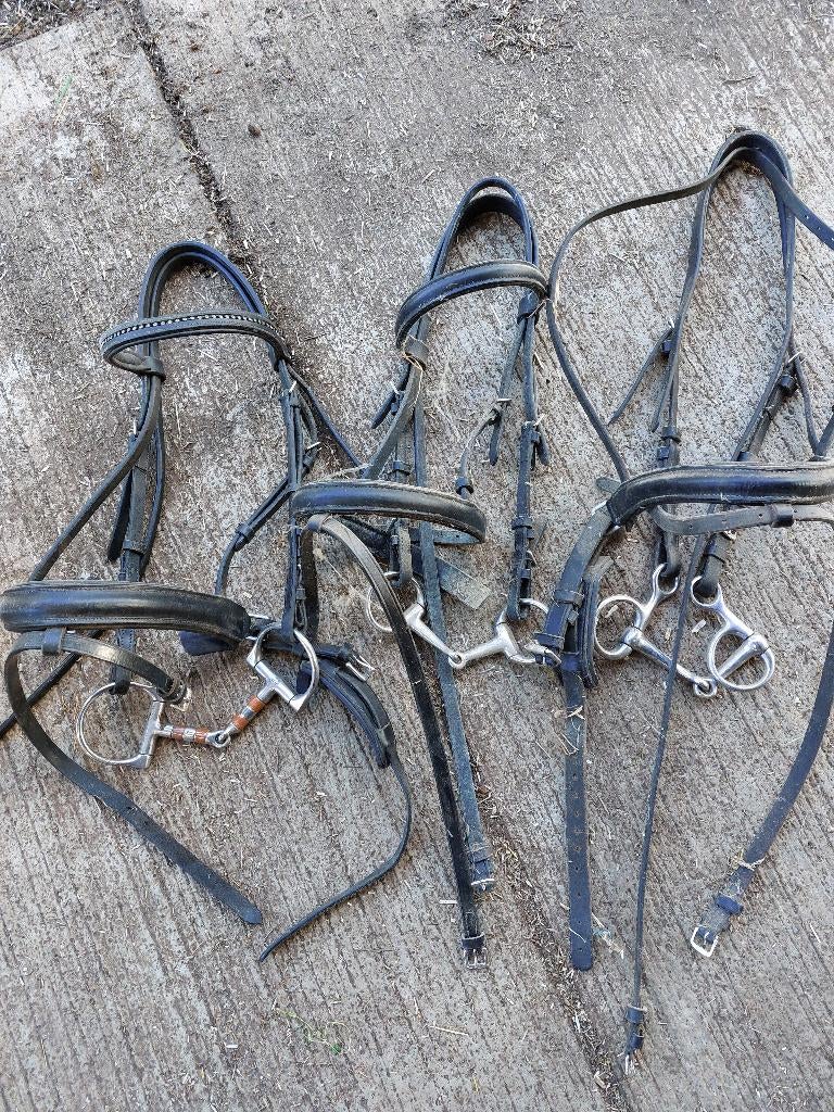 kopstukken, beugels, singels, teugels, halsters, paaltjes,.., Ophalen, Gebruikt