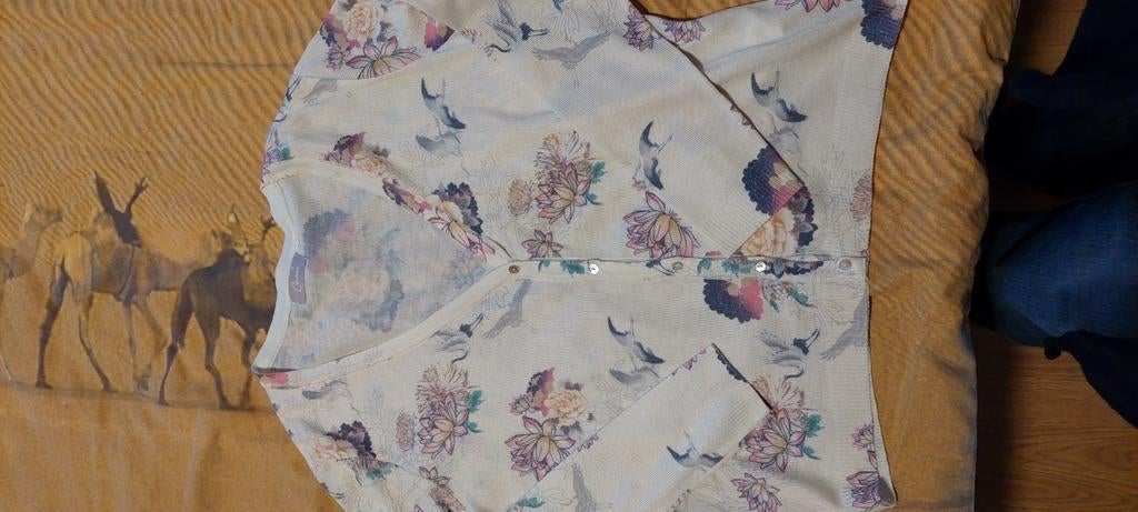 Cardigan van Cassis maat L nieuw, Ophalen of Verzenden, Nieuw, Maat 42/44 (L)