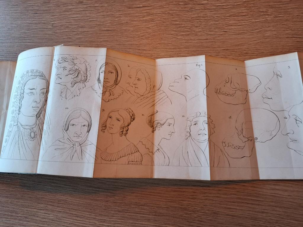 Roret Physionomiste des dames - 1843 - Manuels-Roret, Ophalen of Verzenden