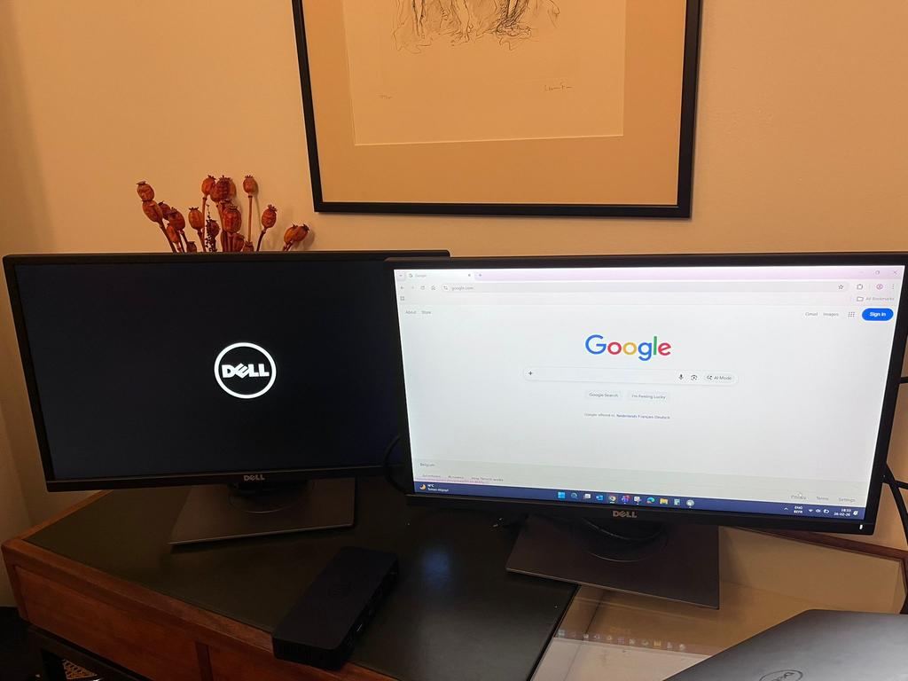 Moniteurs Dell 24‘‘ (70€/pièce), Ophalen, Zo goed als nieuw, HDMI, LED