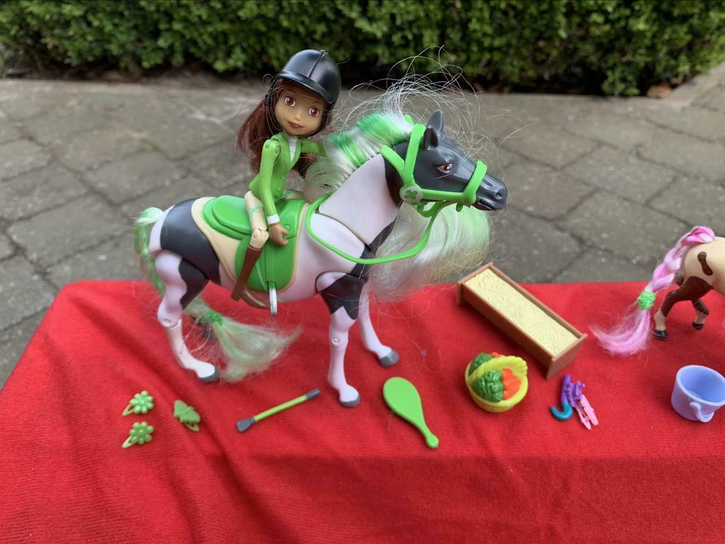 Des chevaux avec des accessoires, Animaux & Accessoires